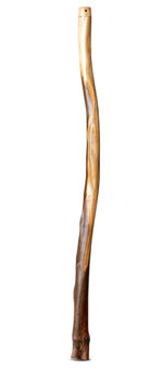 Heartland Didgeridoo (HD523)
